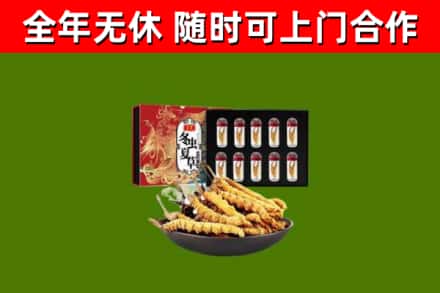 道滘镇烟酒回收冬虫夏草礼盒.jpg
